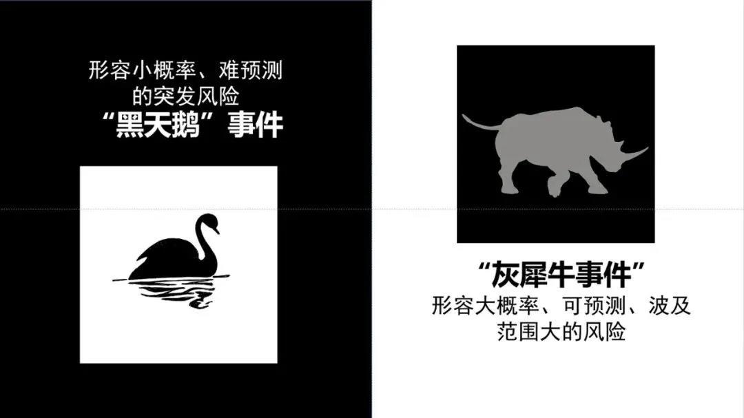 既有像2008 年美国次贷危机的"灰犀牛"事件,也有像2001 年"9.